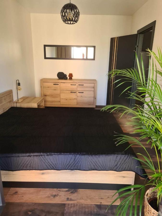 Copper Apartment Free Parking 弗罗茨瓦夫 外观 照片
