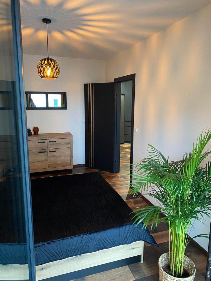 Copper Apartment Free Parking 弗罗茨瓦夫 外观 照片